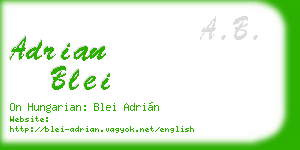 adrian blei business card